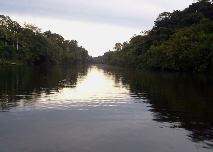 Amazonas plan 4 días