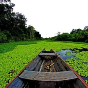 Amazonas plan 5 días