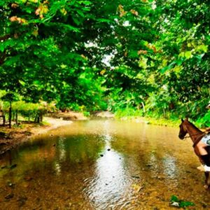 Necoclí y Capurganá 5 días