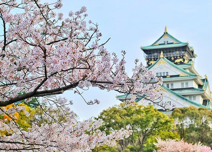 JAPÓN AL COMPLETO